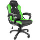 Silla Gaming Genesis Nitro 330 Negra/Verde