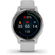 Smartwatch Garmin Venu 2S GPS Plata y Gris