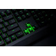 Tastatur Razer Blackwidow Green Switch