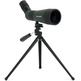 Teleskopio Terrestre Celestron LandScout 12-36x60 45º