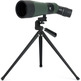 Teleskopio Terrestre Celestron LandScout 12-36x60 45º