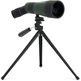 Teleskopio Terrestre Celestron LandScout 12-36x60 45º